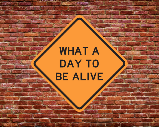 WHAT A DAY TO BE ALIVE