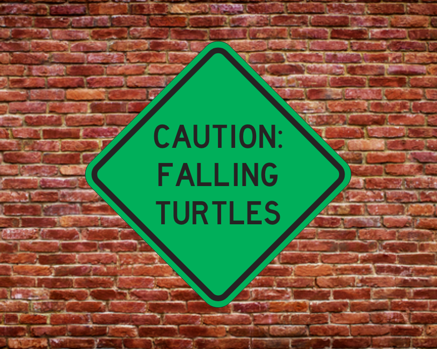 CAUTION: FALLING TURTLES